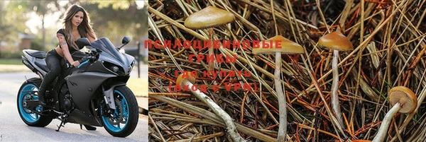 mdma Бородино
