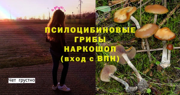 mdma Бородино
