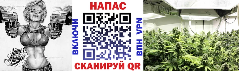как найти наркотики  Нерюнгри  blacksprut ссылка  Шишки марихуана гибрид 
